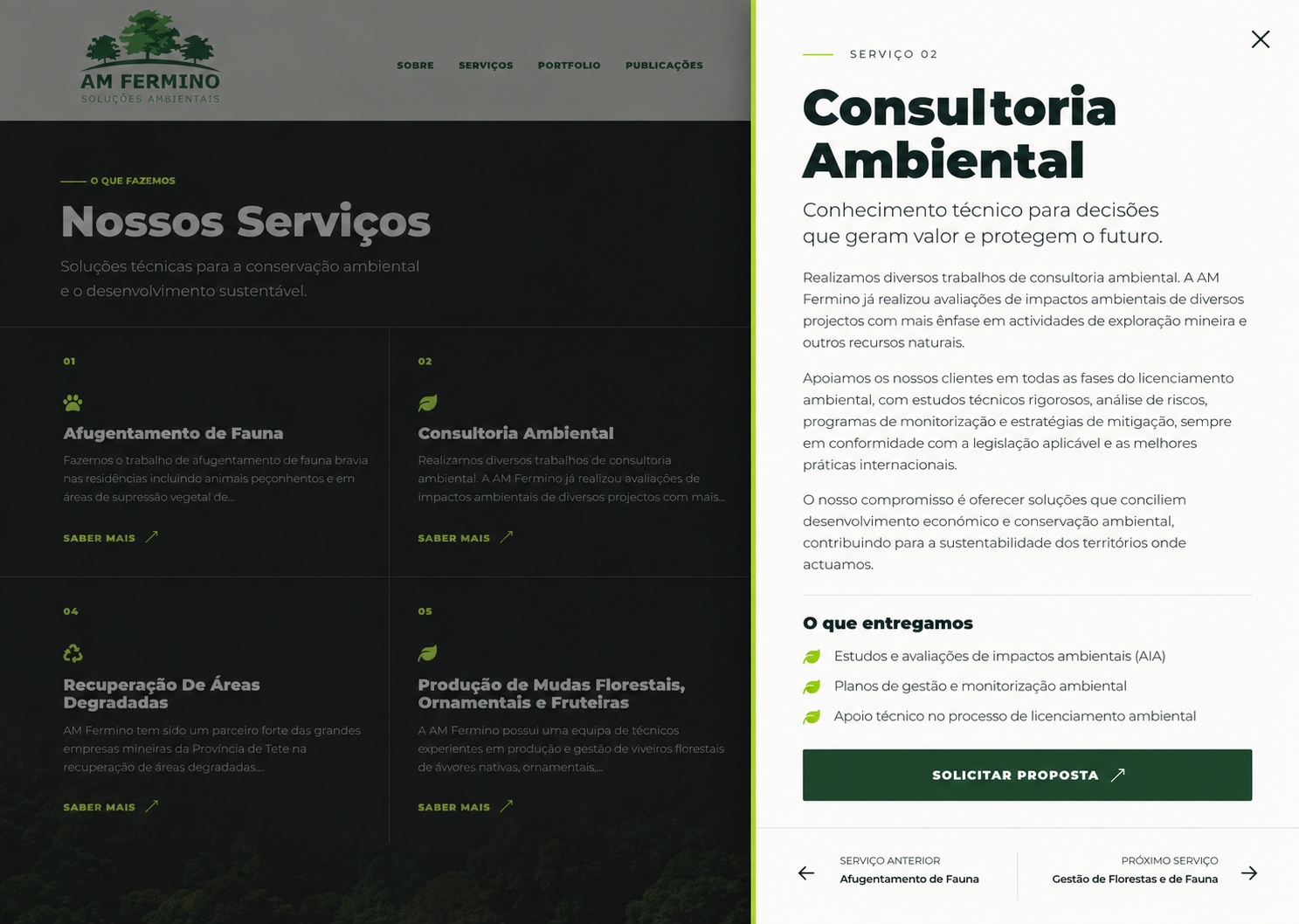 Direção editorial clara selecionada para o site